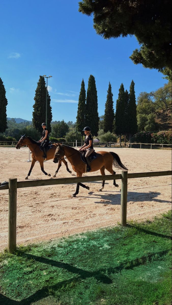 Riding Lessons