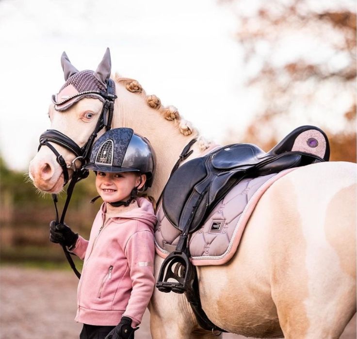 Tack and equipment